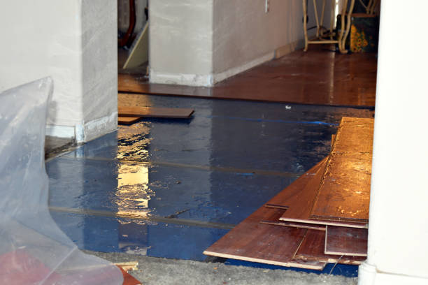 Professional Sewage Cleanup technician working in Durant, MS